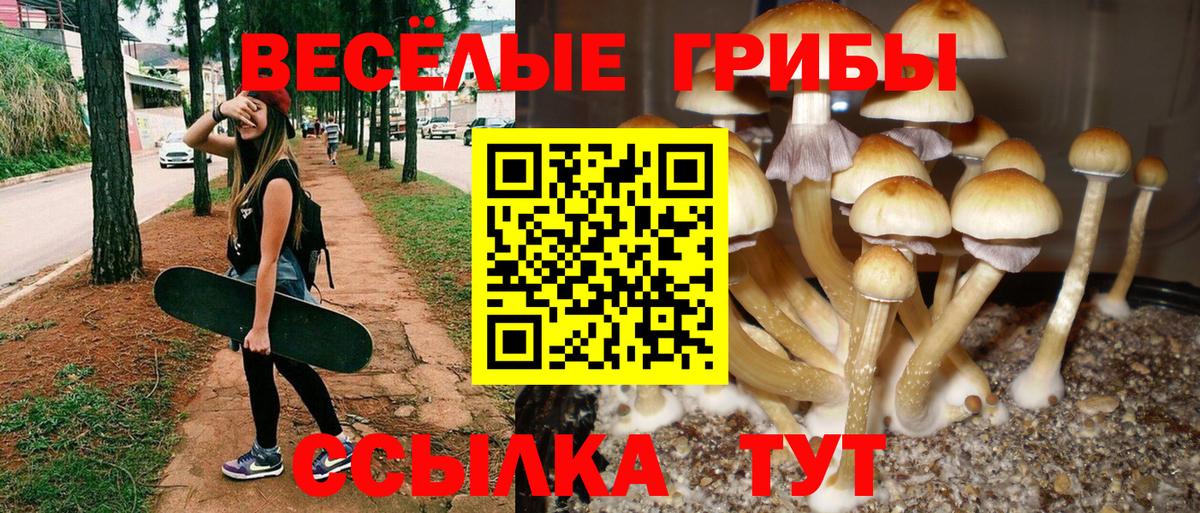 Галлюциногенные грибы мухоморы  Псилоцибиновые грибы мухоморы  Вход с VPN  Советский 